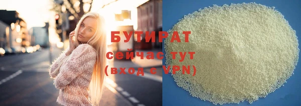 хмурый Аркадак