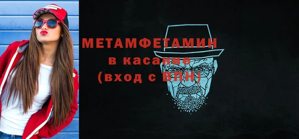 хмурый Аркадак