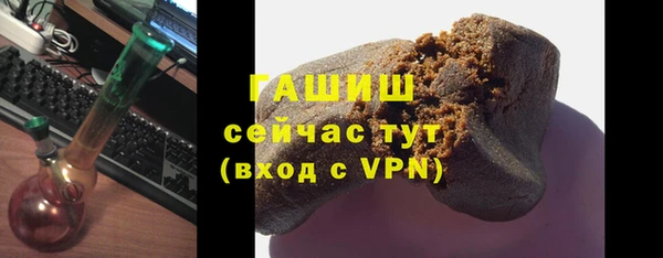 хмурый Аркадак