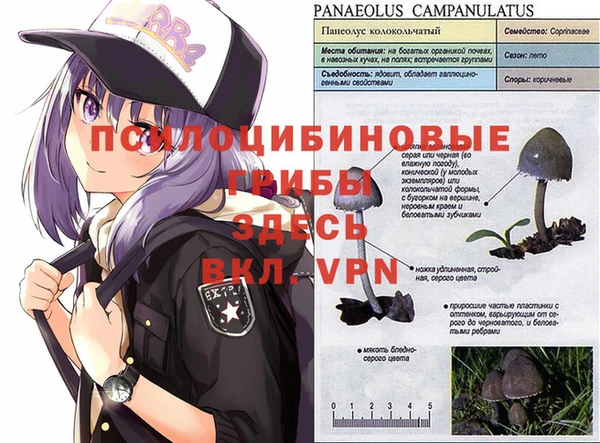 марки nbome Арсеньев
