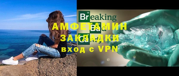 хмурый Аркадак